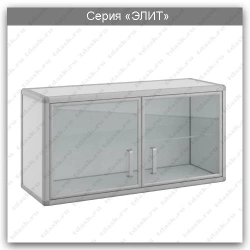 Hinged laboratory cupboard Elite series: ??.02.01