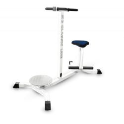 Trainer for oblique abdominal muscles (Twister)