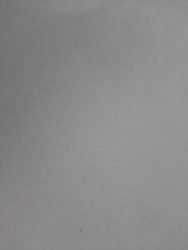 Nonwoven fabric "Termolin 750 VP"
