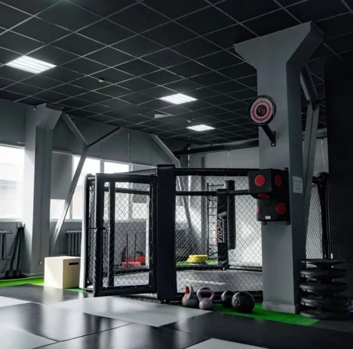 MMA Cage for Mixed Martial Arts - SER-BA Model