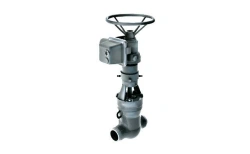 Gate valve 2s-30-2NE
