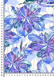 Mixed knitted fabric (XL-65%, PE-35%) printed, lined single on the basis of kulirnaya glide