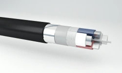 Power cables with aluminium conductors with plastic insulation for rated voltage 1 kV APvBShp(d) grade