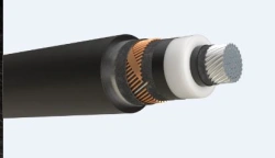 APvV power cable