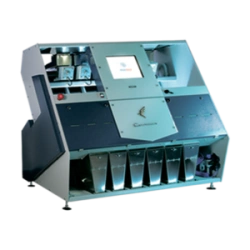 Peregrine Falcon SE216 M