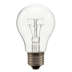 Lamp G 245-255-100 C E27