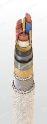 Power cable with copper conductors with paper insulation impregnated with non-fading composition for voltage 6, 10 kV of TsSPShv