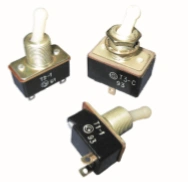Toggle T1