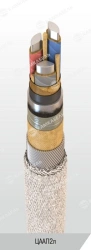 Power cable with aluminium conductors with paper insulation impregnated with non-flowing composition for voltage 6, 10 kV of CAA