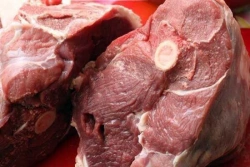 Meat of horse meat of 1 category in quarters frozen