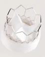 Cardiac Valve Prostheses