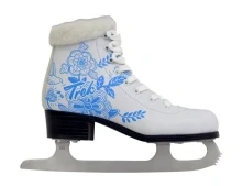 Skates and Parts