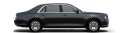 Specialty Passenger Cars