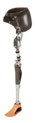 Prosthetic & Orthopaedic Devices