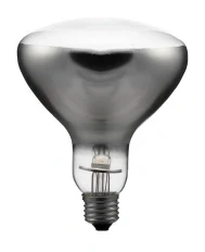 Electric Lighting Equipment