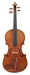 String Bowed Instruments