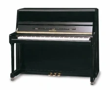 Musical Instruments Collection