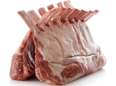 Frozen Lamb for Kids